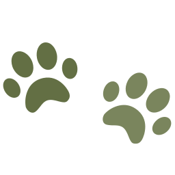 paw icon for divider