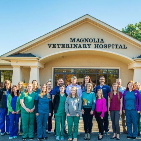 Best Vet in Anderson, SC | Magnolia Veterinary Hospital