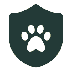 Pet Insurance