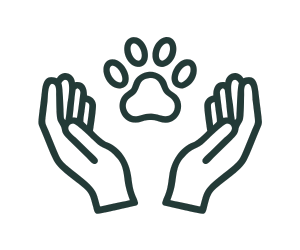 Pet care