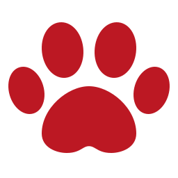 paw icon