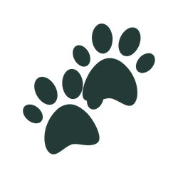 Pet care benefits icon